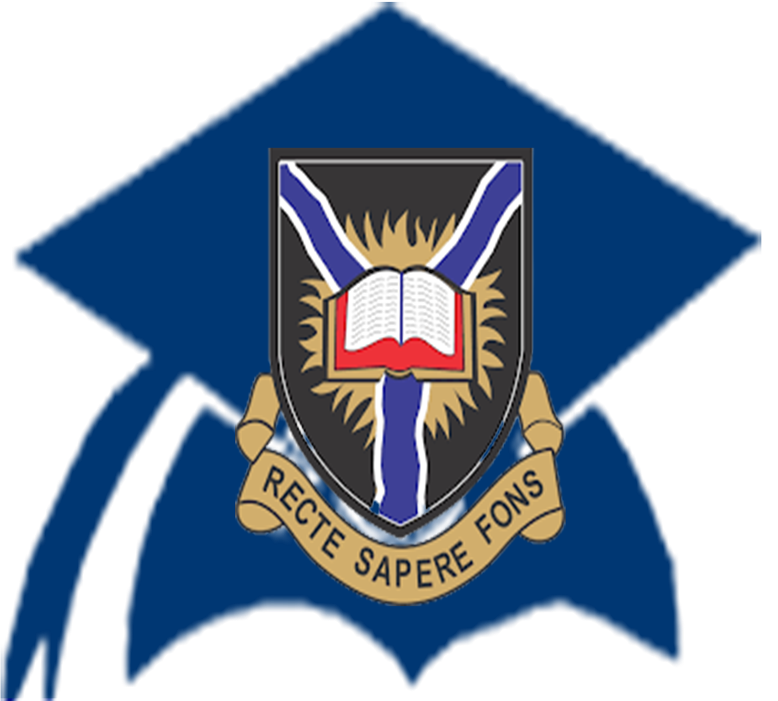 UI School of Business Logo